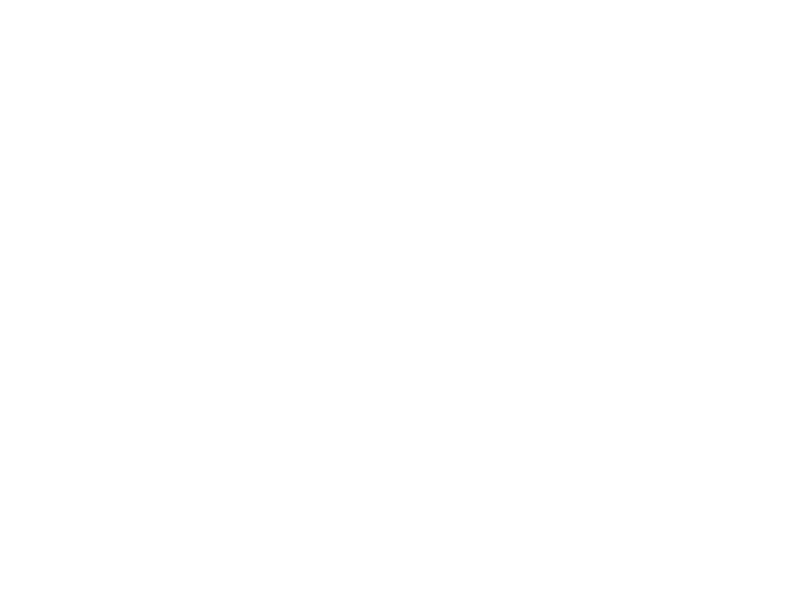 Rising Star Tourism L.L.C